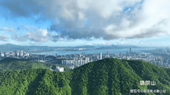 不雅众收视返听月17日晚